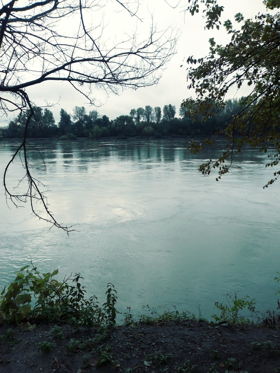 20191019_111033_Film3