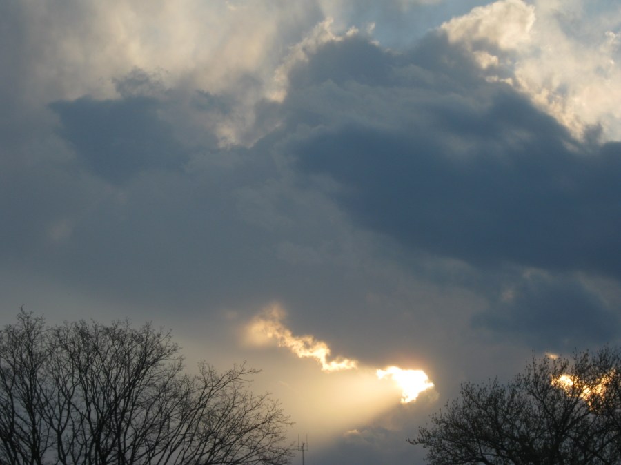 4 11 20 Blog pics 012