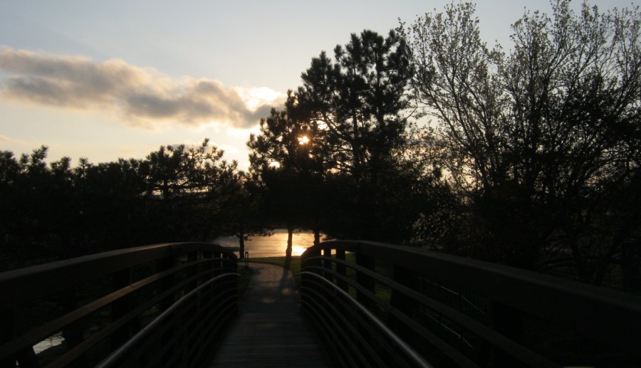 Blog Pics 4 5 20 050