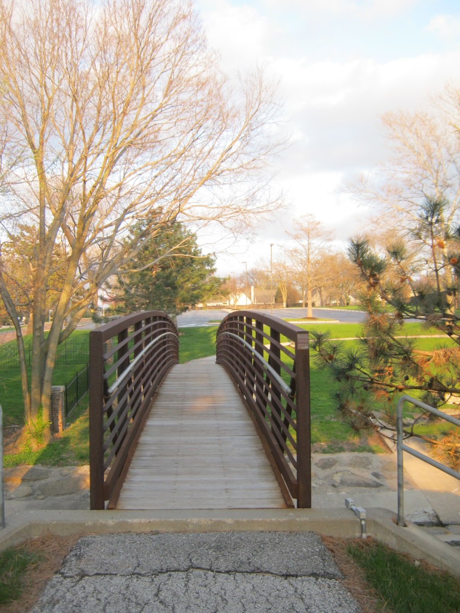 Blog Pics 4 5 20 051