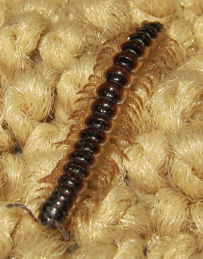 Texas Trip 2010 122A