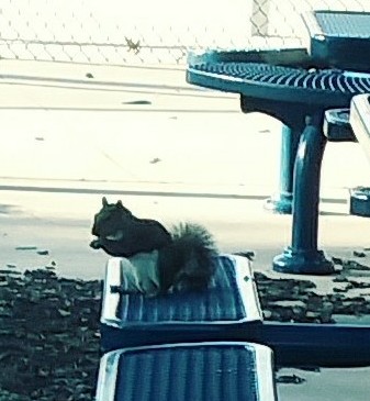 20200505_181946_Film3-1-1-1 (1)